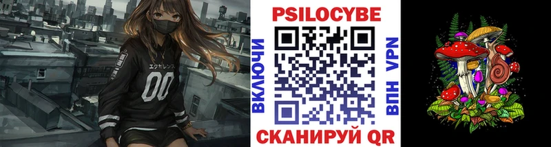 Купить закладки  Котельники  Галлюциногенные грибы мицелий 